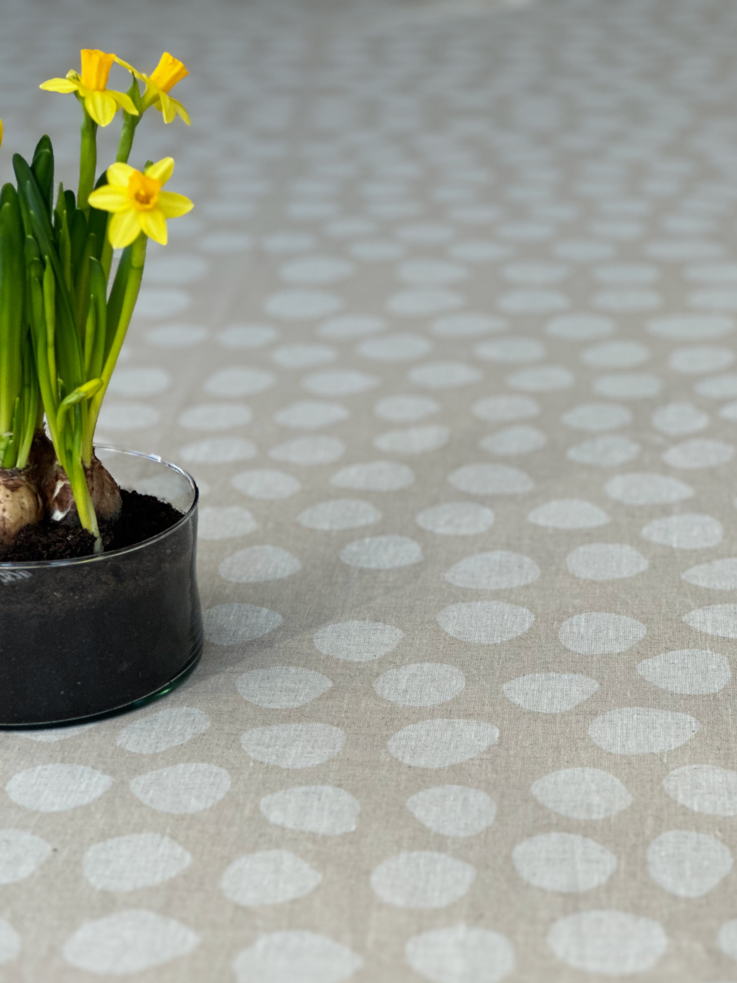 Bordslöpare Pricklund - Is